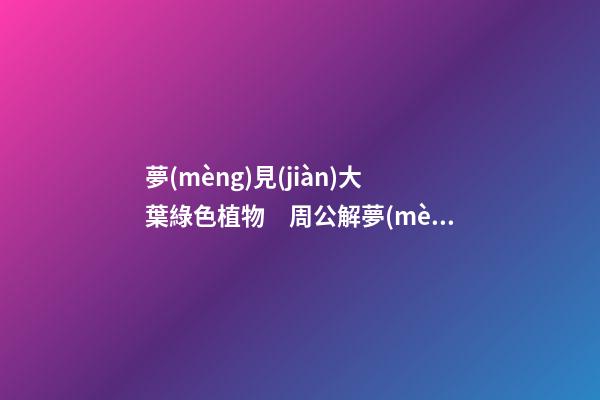 夢(mèng)見(jiàn)大葉綠色植物　周公解夢(mèng)之夢(mèng)到大葉綠色植物